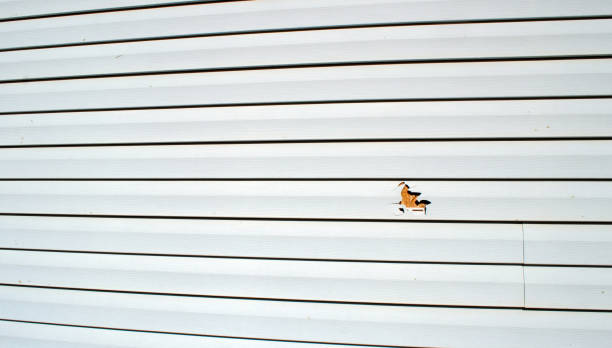 Affordable siding repair and maintenance services in Nokesville, VA